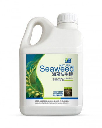 海藻快生根
